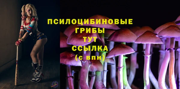 шишки Белоозёрский