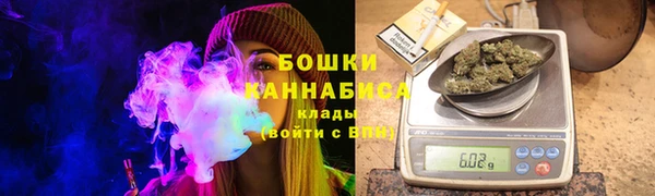 шишки Белоозёрский