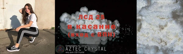 шишки Белоозёрский