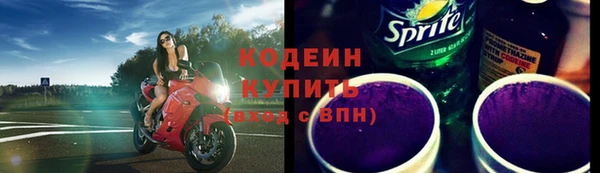 шишки Белоозёрский