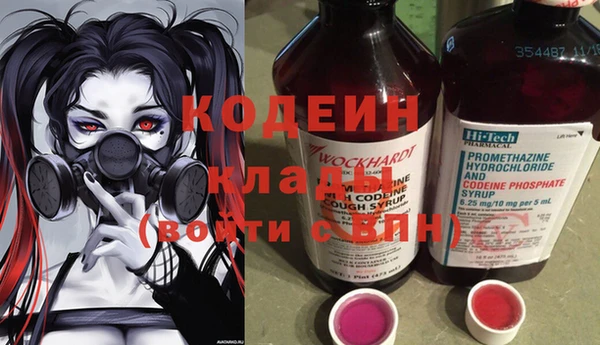 шишки Белоозёрский