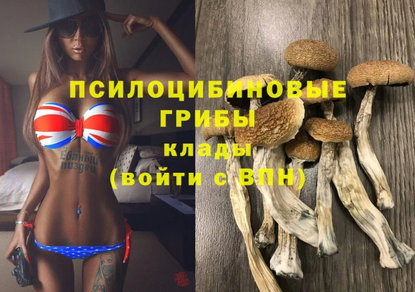шишки Белоозёрский