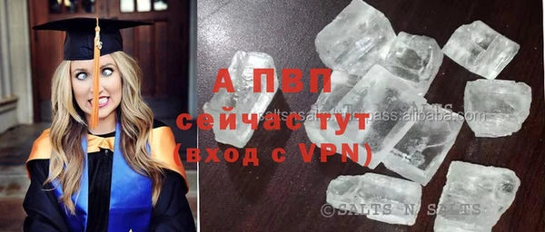 СК Белокуриха