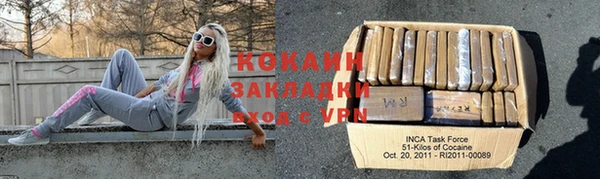 шишки Белоозёрский