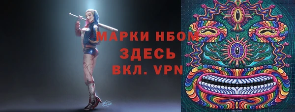 шишки Белоозёрский